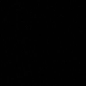 Meet your Posher, Braeden